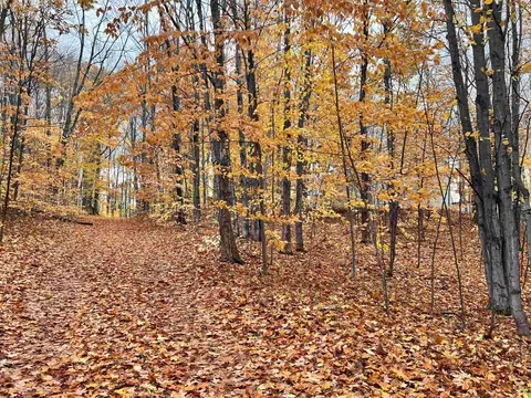 30 E 18, Mesick, MI 49668 photo 51