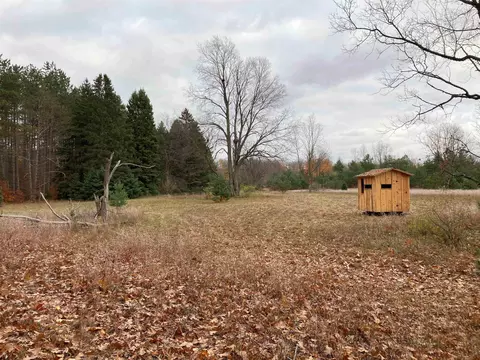 30 E 18, Mesick, MI 49668 photo 59