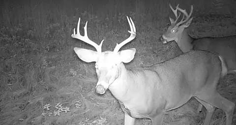 30 E 18, Mesick, MI 49668 photo 68