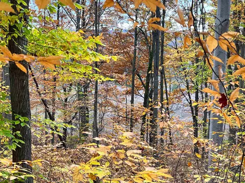 30 E 18, Mesick, MI 49668 photo 55