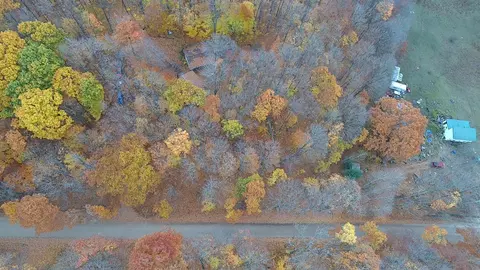 30 E 18, Mesick, MI 49668 photo 63