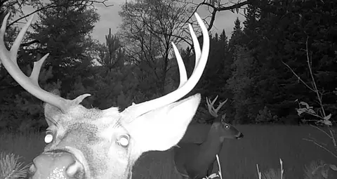30 E 18, Mesick, MI 49668 photo 65