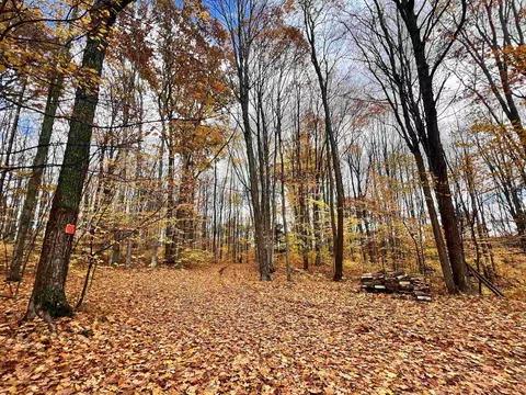 30 E 18, Mesick, MI 49668 photo 52