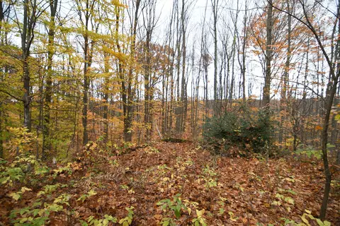 30 E 18, Mesick, MI 49668 photo 49