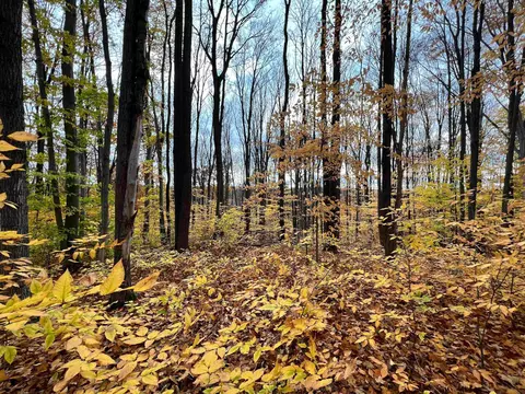 30 E 18, Mesick, MI 49668 photo 53