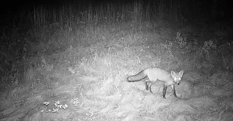 30 E 18, Mesick, MI 49668 photo 69