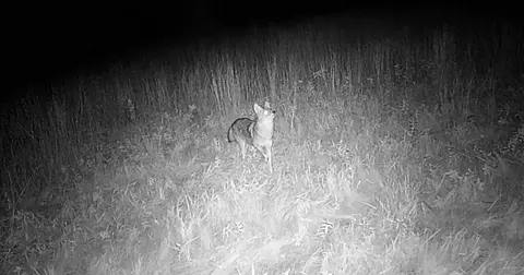 30 E 18, Mesick, MI 49668 photo 70