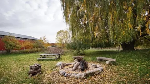 4070 E Fabiszak, Cedar, MI 49621 photo 41