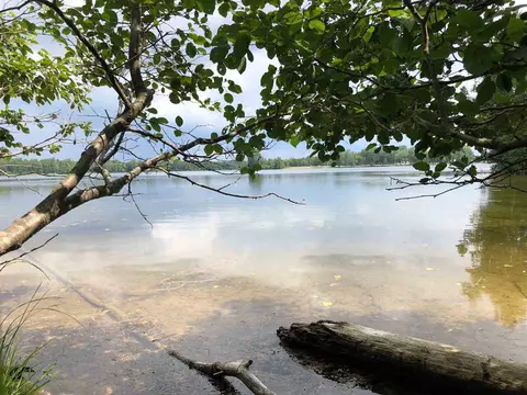 Parcel C S Rolland, Lake Isabella, MI 48893