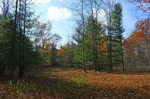 00 Ruel, Tawas City, MI 48763
