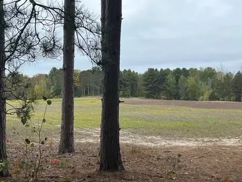 000 N Purkiss, Northport, MI 49670