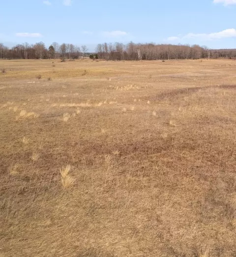 7443 Brady #LOT : 3, Onaway, MI 49765