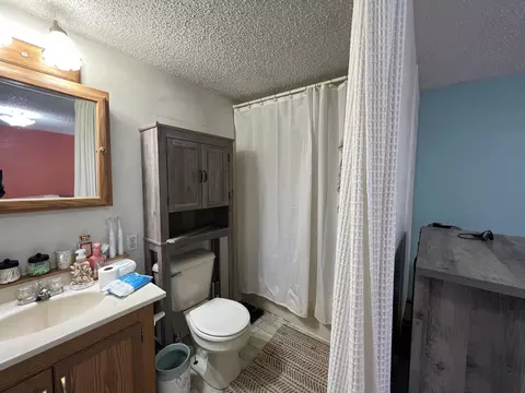7761 E Baseline, Mount Pleasant, MI 48858 photo 9