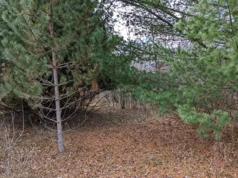 00 Britt, Hale, MI 48739 photo 5
