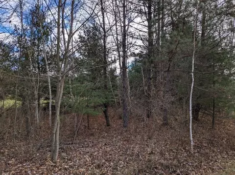 00 Britt, Hale, MI 48739 photo 3