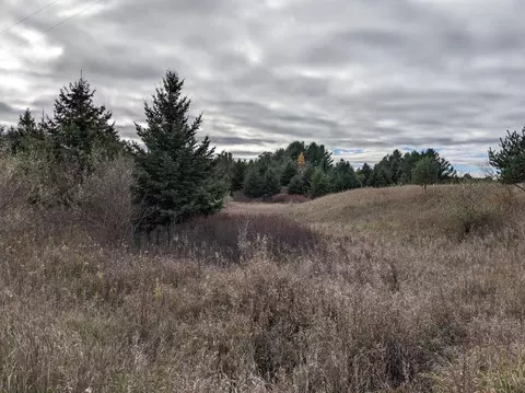 00 Britt, Hale, MI 48739 photo 2