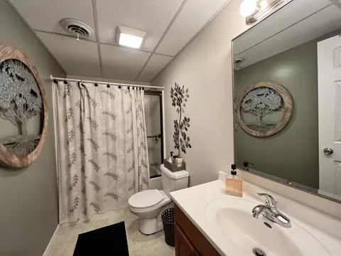176 Eldridge, Beulah, MI 49617 photo 50