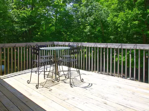 176 Eldridge, Beulah, MI 49617 photo 66
