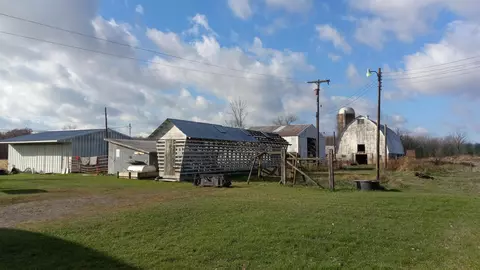 Other - 2540 S Dreyer, Au Gres, MI 48703 photo 15 of 18