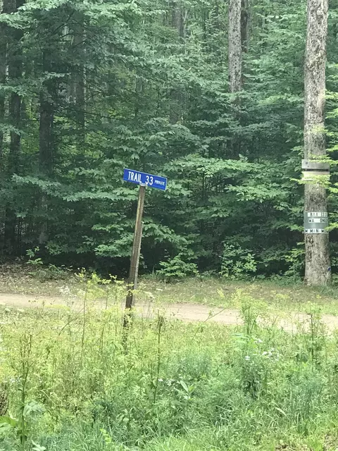 Vacant Land Trail 33, Mancelona, MI 49659