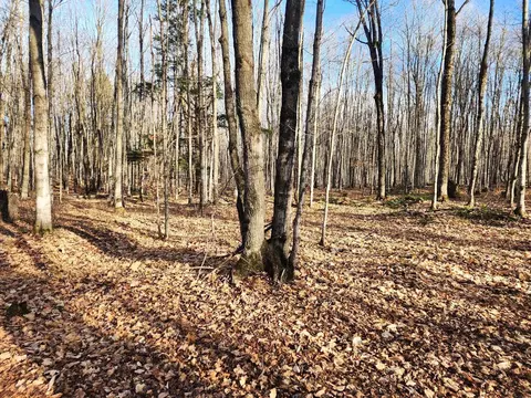 8460 NE Twin Lk, Mancelona, MI 49659