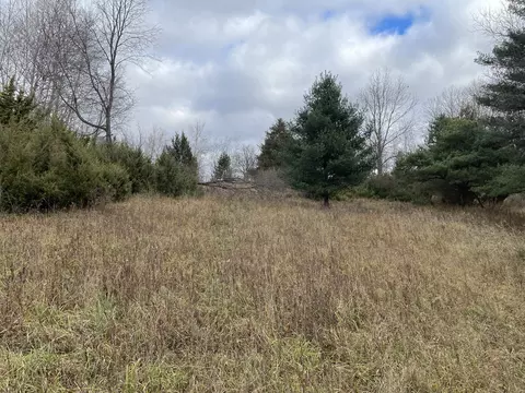 N/a Heath, Rose City, MI 48654