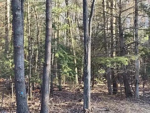 Moore, Williamsburg, MI 49690 photo 3