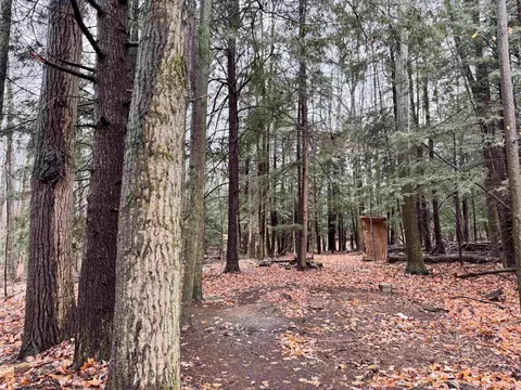 000 Westwood Rd NE, Mancelona, MI 49659