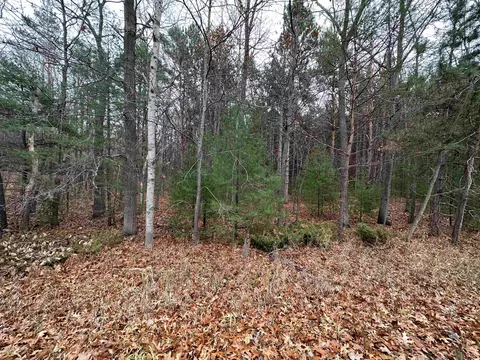 V/l Cherry, Manistee, MI 49660 photo 8