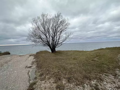 V/l Cherry, Manistee, MI 49660 photo 10