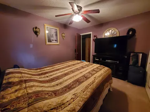 3192 7th, Weidman, MI 48893 photo 9