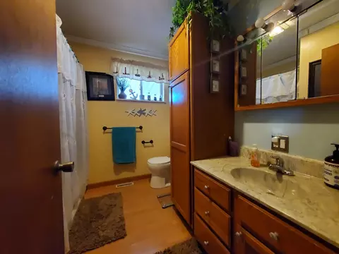 3192 7th, Weidman, MI 48893 photo 14