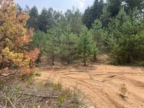 ***** N 17, Buckley, MI 49620