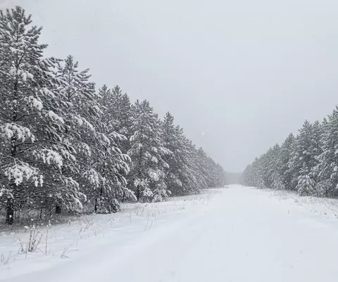 Parcel F-2 N 2 1/2, Buckley, MI 49620