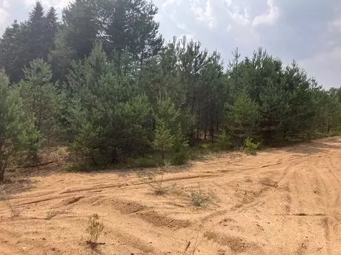 Parcel F-2 N 2 1/2, Buckley, MI 49620
