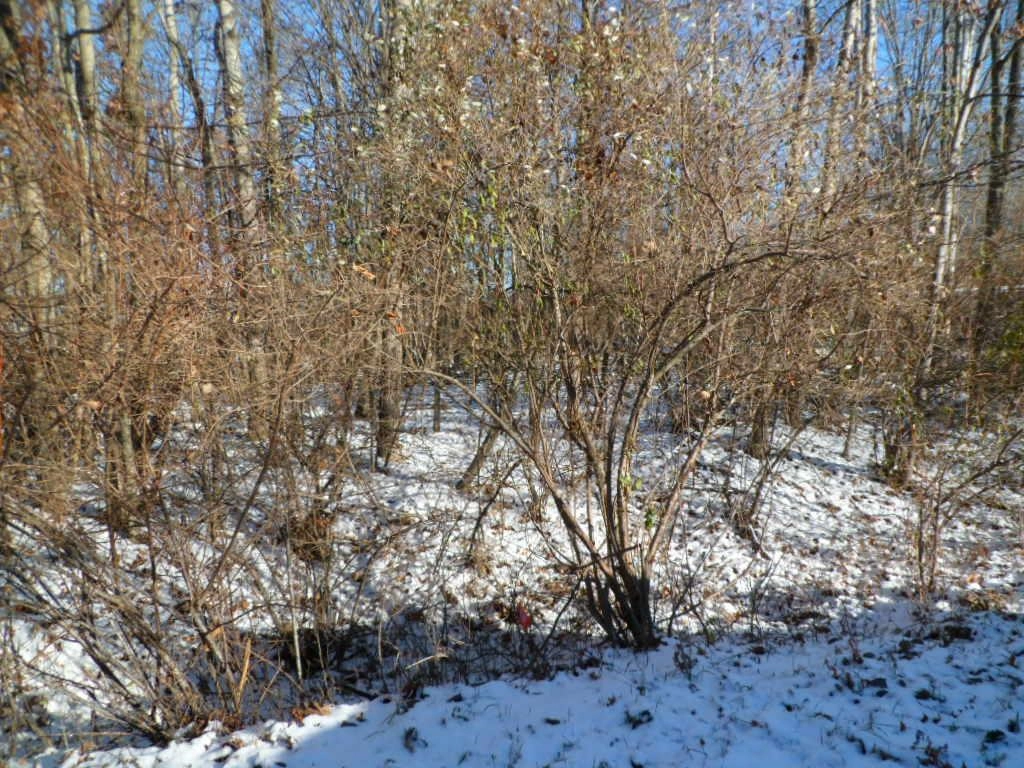 1012 Cordoba Unit Lot 284  