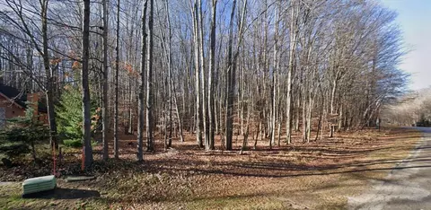 lot1152 Michaywe #NO. 4 SEC 2 T29N R3W, Gaylord, MI 49735