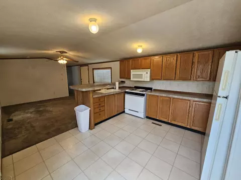 3385 Clyde, Mesick, MI 49668 photo 4