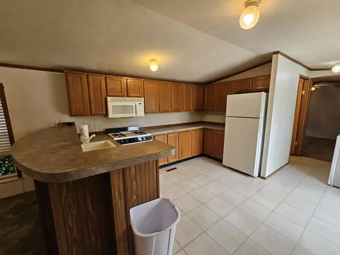 3385 Clyde, Mesick, MI 49668 photo 5