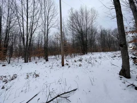 N Turnerville, Lake City, MI 49651