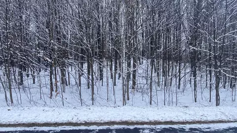 lot 178 clearview LOT : 178, Bellaire, MI 49615