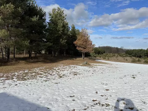 1543 E 16 Mile, Mesick, MI 49668 photo 4