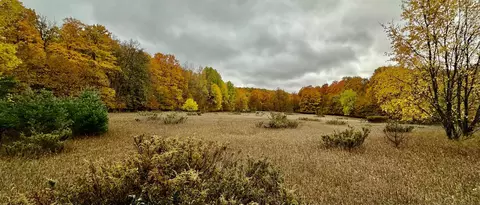 00 S Plowman, Glen Arbor, MI 49636