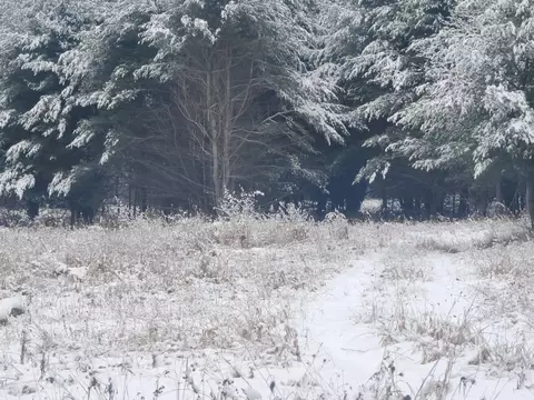 10401 Watson #LOT : A & B, Williamsburg, MI 49690 photo 4