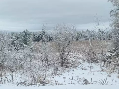 10401 Watson #LOT : A & B, Williamsburg, MI 49690 photo 5