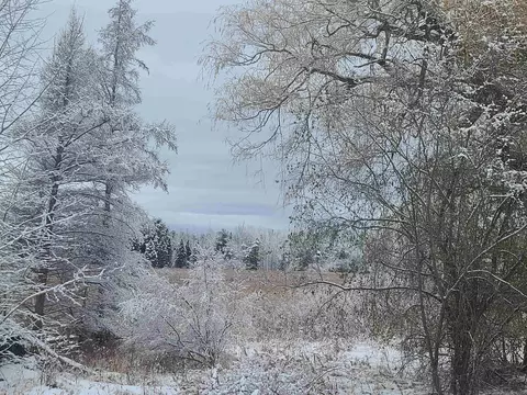 10401 Watson #LOT : A & B, Williamsburg, MI 49690