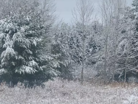 10401 Watson #LOT : A & B, Williamsburg, MI 49690 photo 3