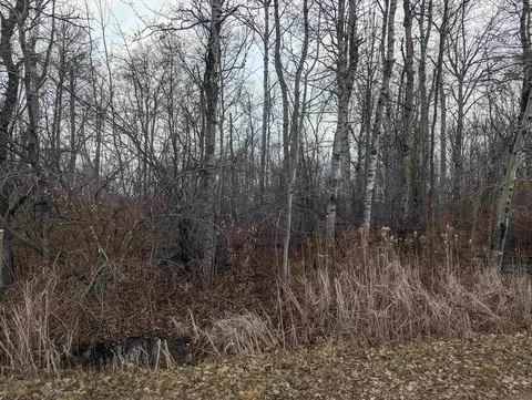 N/a Swenson, Au Gres, MI 48703 photo 3