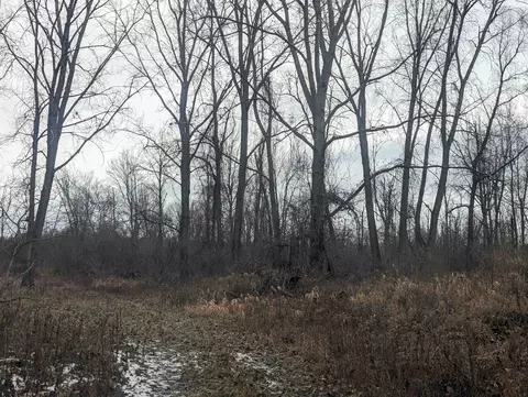 N/a Swenson, Au Gres, MI 48703 photo 5