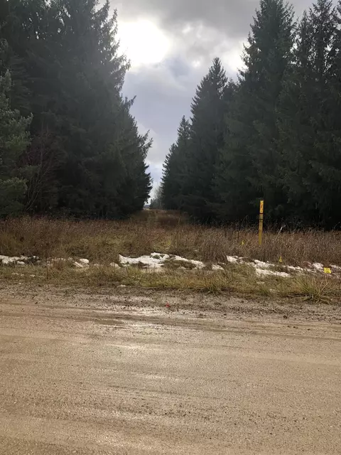 E 12 1/2, Manton, MI 49663 photo 3